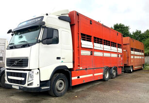 VOLVO FH 460 + remolque para transporte de ganado