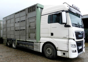 MAN TGX 26.520 camión para transporte de ganado