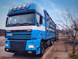 PEZZAIOLI camión para transporte de ganado + remolque para transporte de ganado