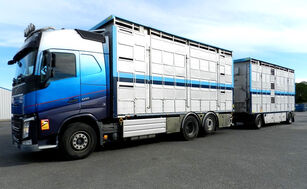 VOLVO FH 500 camión para transporte de ganado + remolque para transporte de ganado