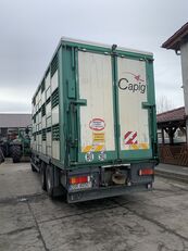 DAF camión para transporte de ganado