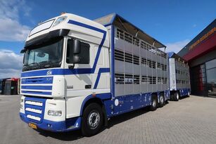DAF XF 105 105-460 camión para transporte de ganado