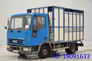 IVECO 65E14 camión para transporte de ganado
