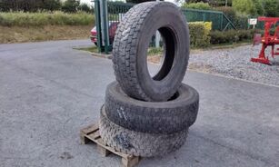 Michelin 295/80 R 22.5 neumático para camión
